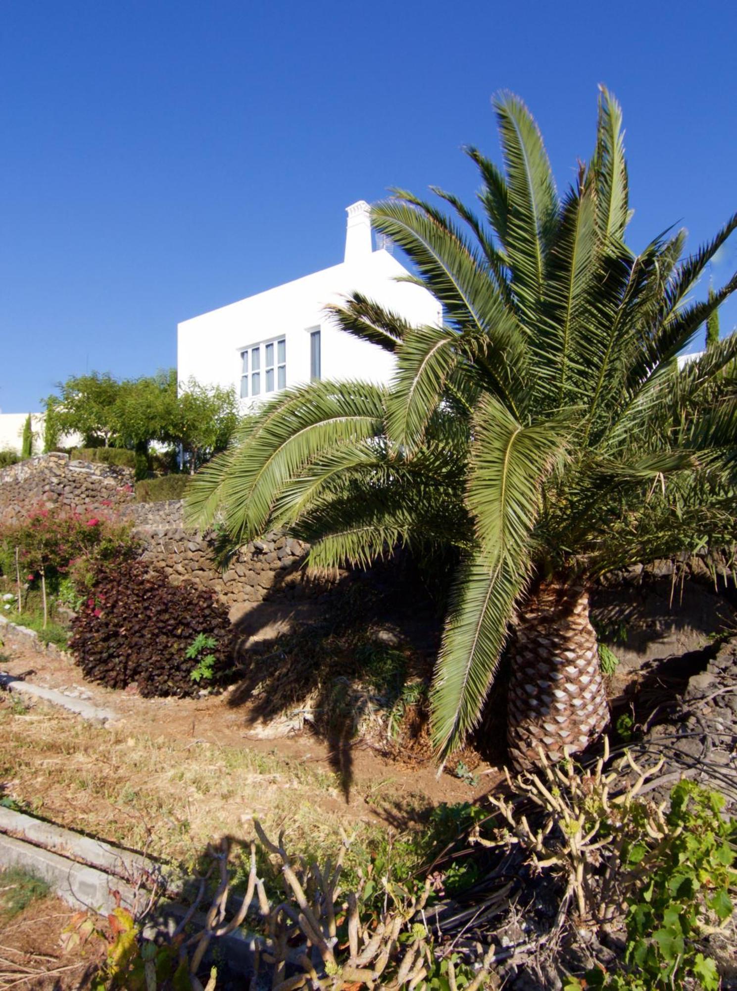 Casa La Brena La Palma Villa Brena Baja Exterior photo